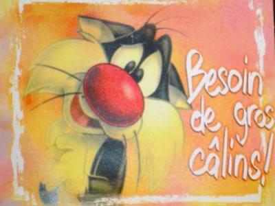 .+. pOr tO!.+.